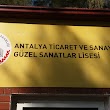 Anadolu Güzel Sanatlar Lisesi