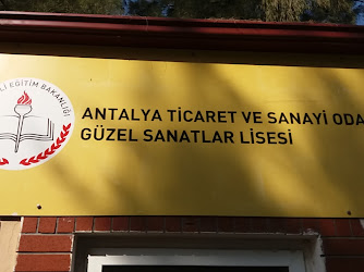 Anadolu Güzel Sanatlar Lisesi