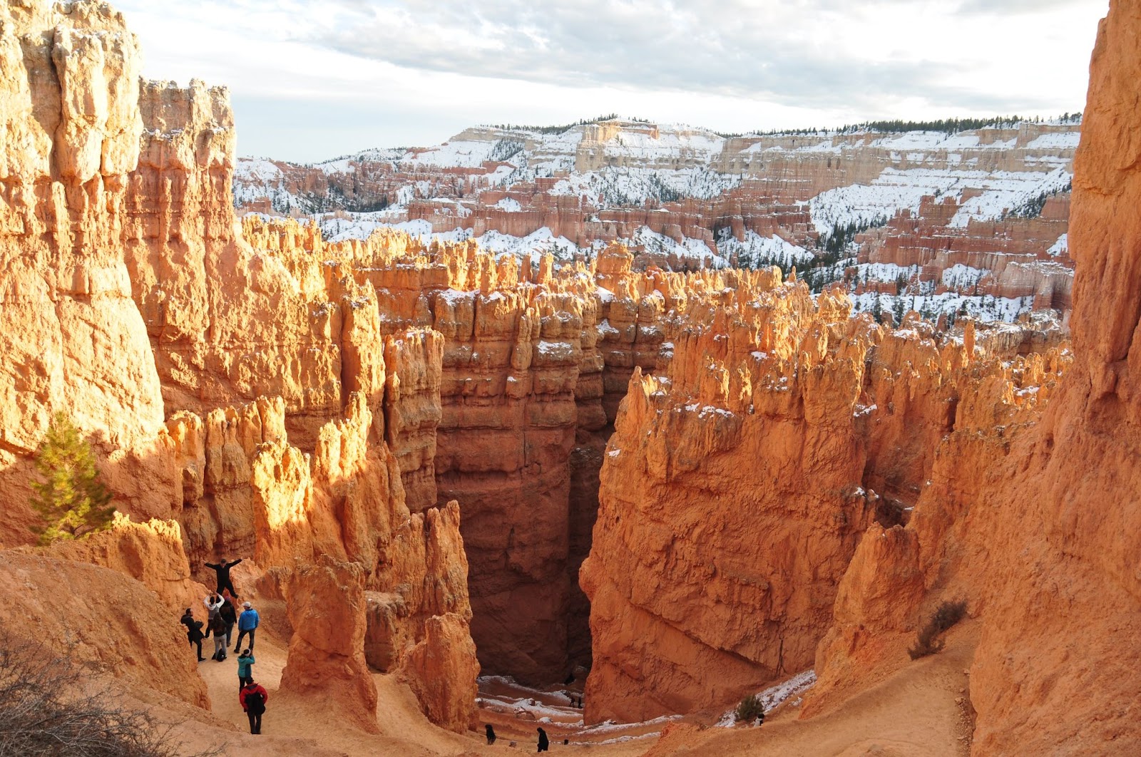 Is Zion National Park a Desert? (Explained!)