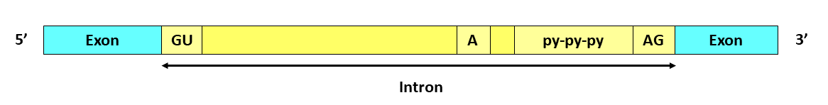 A picture containing chart

Description automatically generated