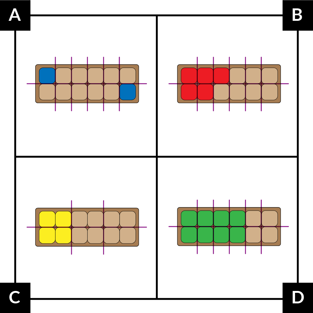 A. shows an egg carton model divided into 12 parts. 1 part in each row is blue but they do not touch. B. shows an egg carton model divided into 12 parts. 3 parts on the top and  2 parts on the bottom are red. C. shows an egg carton model divided into 6 equal parts. 1 part on the top and 1 part on the bottom are yellow. D. shows an egg carton model divided into 12 parts. 4 parts on the top and 4 parts on the bottom are green.