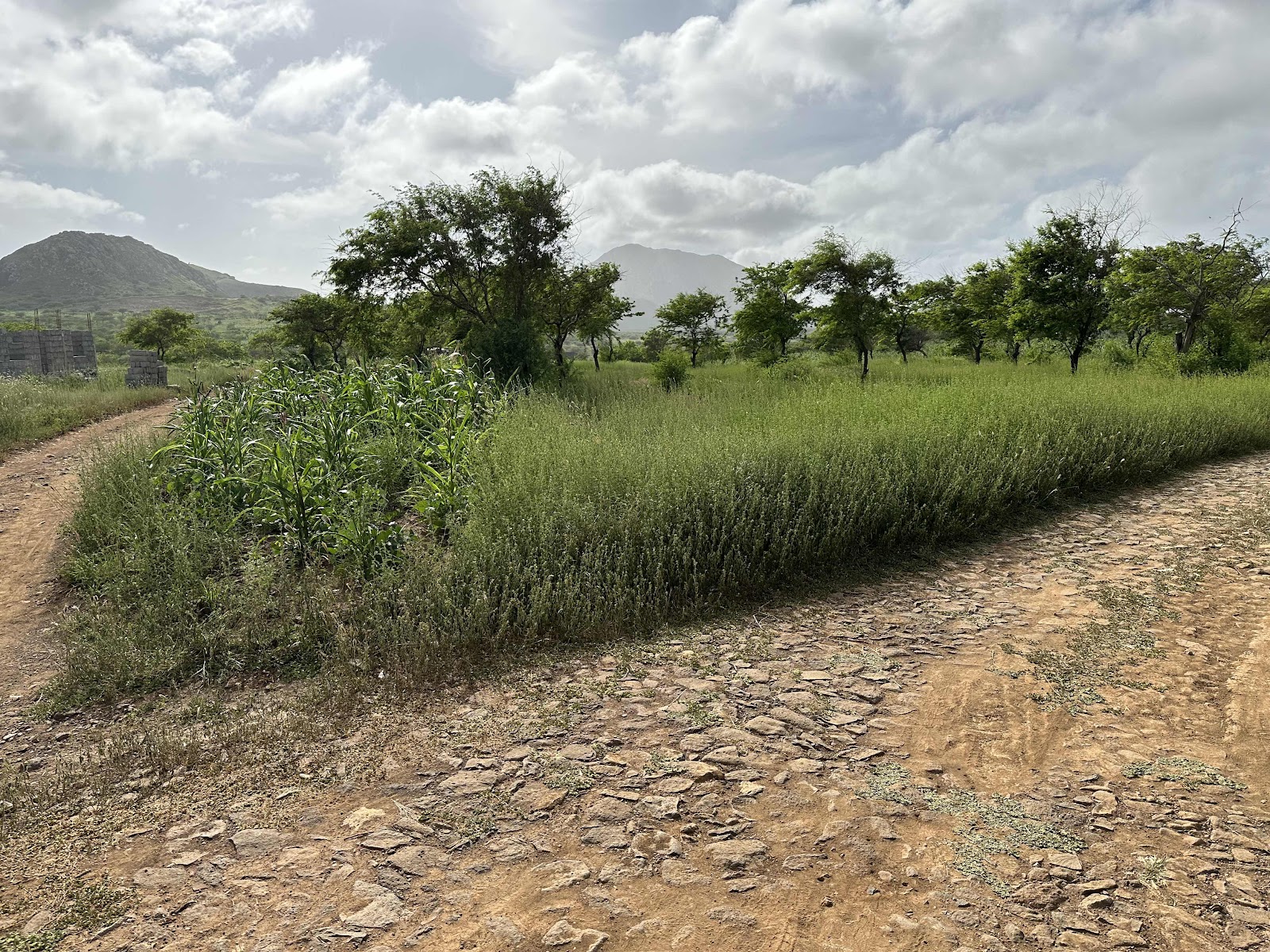 Tras-os-Montes, Tarrafal, Cabo Verde