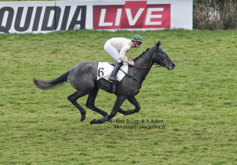 Photos Auteuil 14-03-2015 G5d8hpcrY8sQYQ0fElWjX8NRIpdITnq7UbQrAYAs9xPB=w800-h558-no