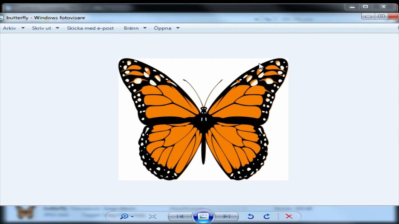 Download Free Jpg To Svg Converter Software - 179+ SVG File for Cricut for Cricut, Silhouette and Other Machine