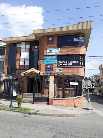 Sandra Aleman - Cuenca