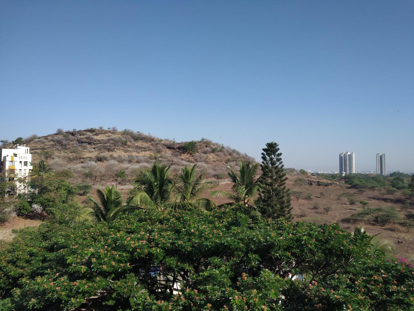 A close up of a hillside next to a treeDescription automatically generated