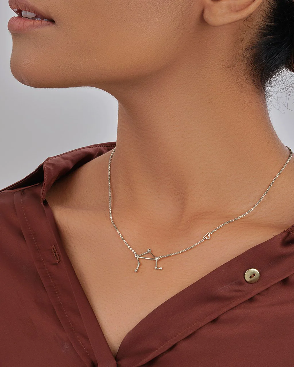 delicate silver necklace with zodiac charm