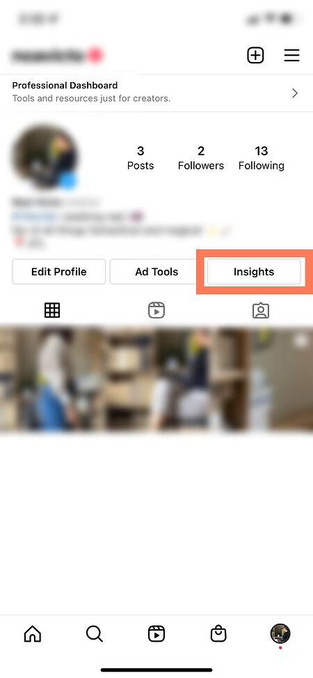 Hồ sơ giao diện Instagram Insight