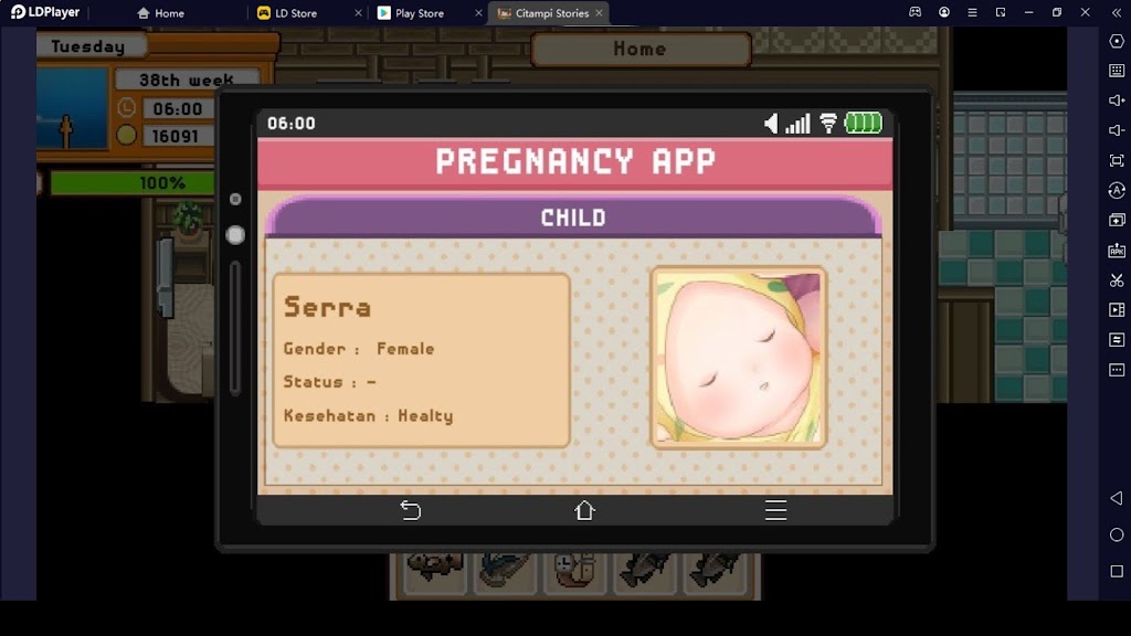Citamapi Stories Beginner's Guide
