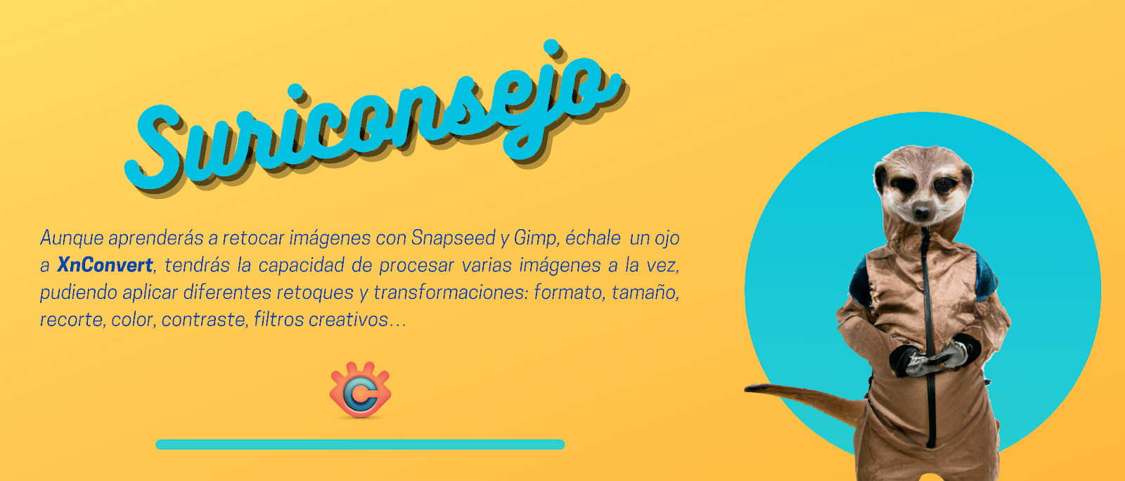 Suriconsejo