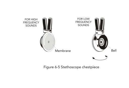 Image result for 6-5 chest piece of stethoscope