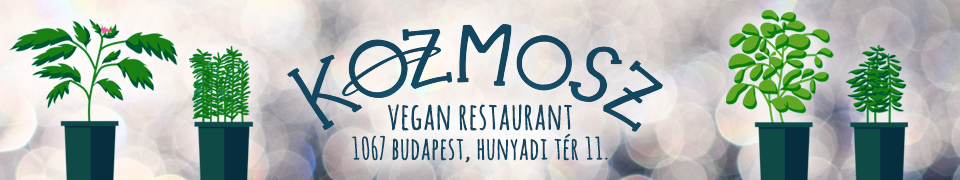 Vegan - Cosmos Budapest