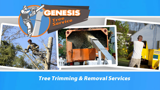 Genesis Tree Service Woodbridge VA - Free Quotes 571-206-8900