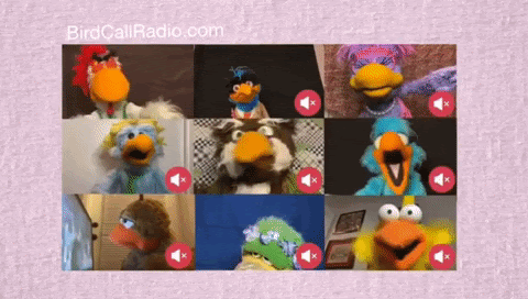 How to mute a Zoom meeting: Muppets on Zoom