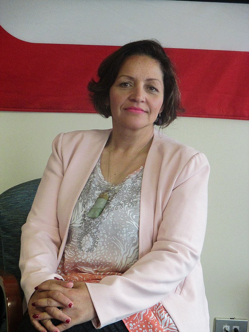 2015 Portrait of Marama Fox 01.JPG