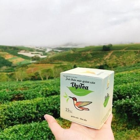 Trà thảo mộc giảm cân vy tea HAVYCO- sản phẩm hot nhất hiện nay