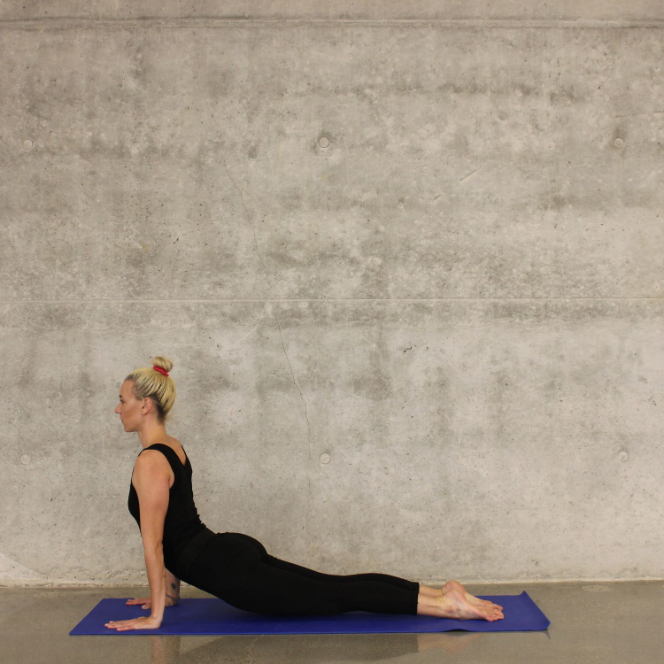  As an introduction to koshas, let’s practice three asanas in succession.   Start with upward-facing dog (pictured here), and then move to downward-facing dog, and then practice the standard facing fold