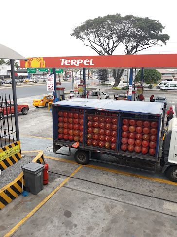 Estación de Servicio Terpel Bahía Norte - Gasolinera