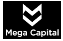Mega Capital Review