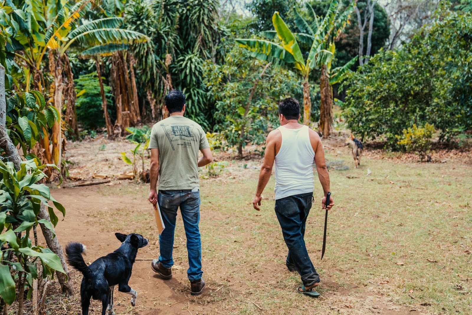 Nicaraguan Coffee Farm Workers