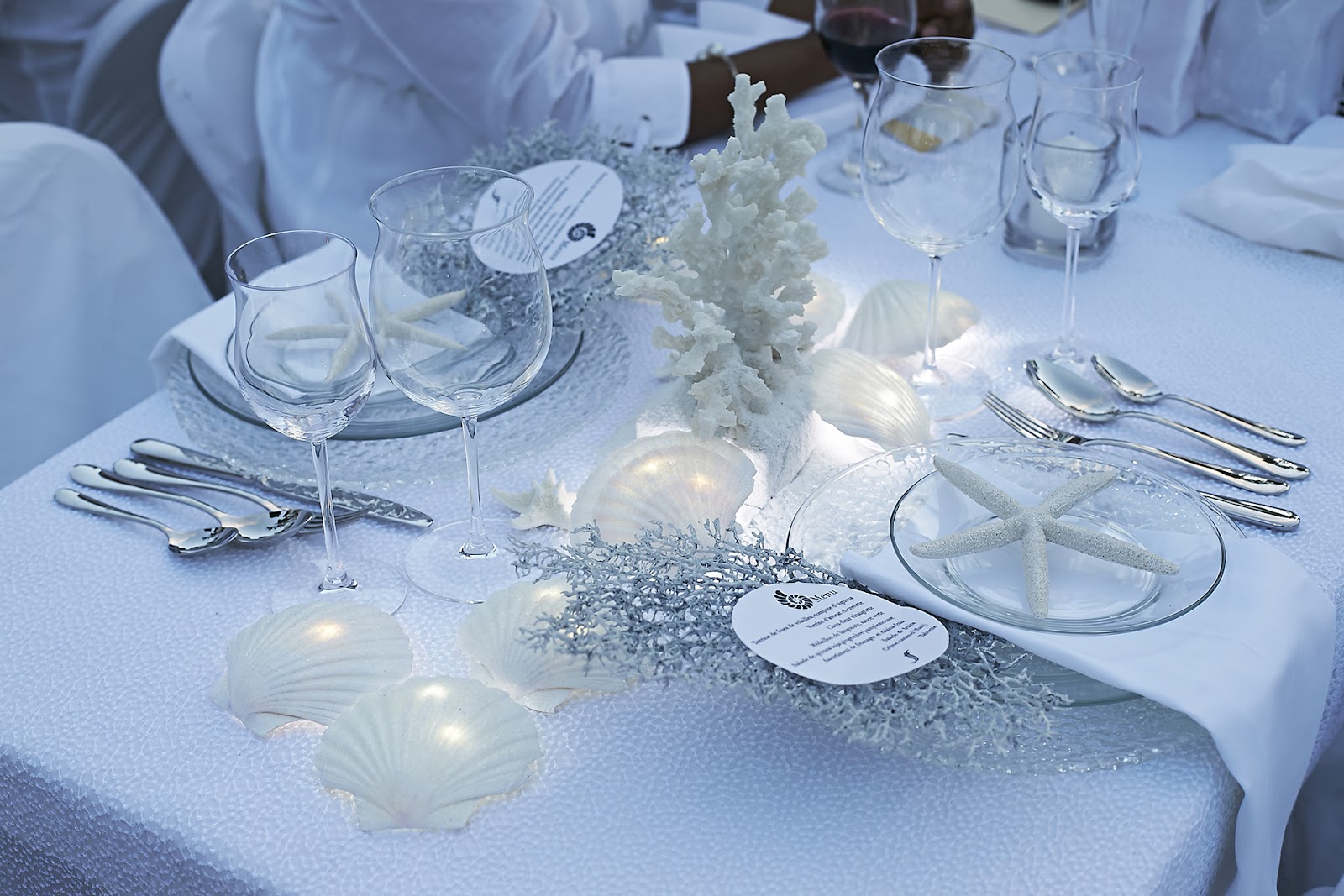 Diner en Blanc 2013 Haiti photo Darwin 292.jpg