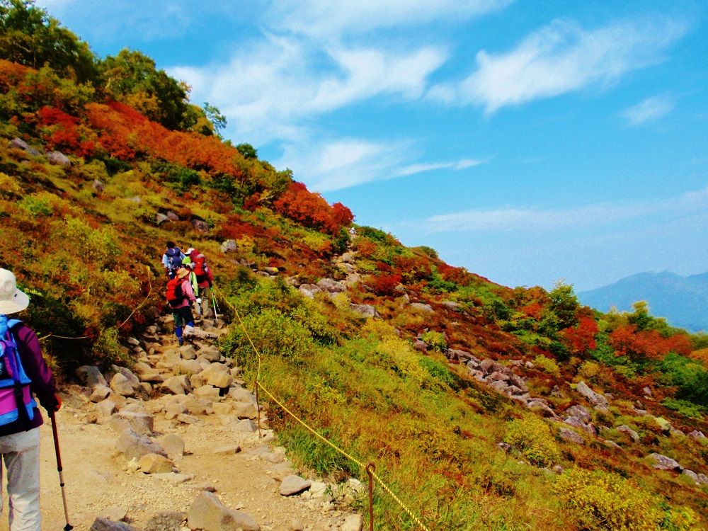 日本一早い紅葉！「大雪山国立公園」で絶景ハイキング（北海道）