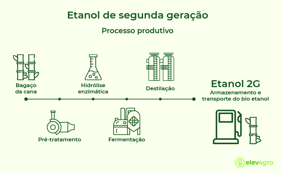 A poderosa diversidade microbiana do rúmen pode ser a chave para a produção  de biocombustível