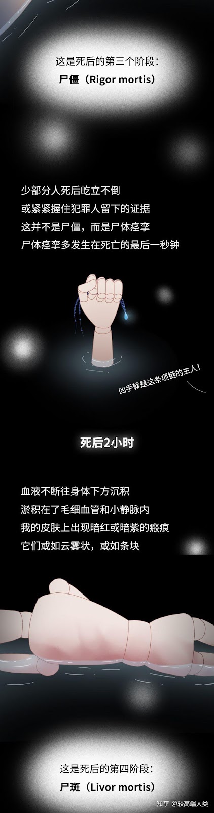 图片[4]-Quá trình phân huỷ của tử thi xảy ra như thế nào? ( Phần 1/2 )-Weibo24h.com
