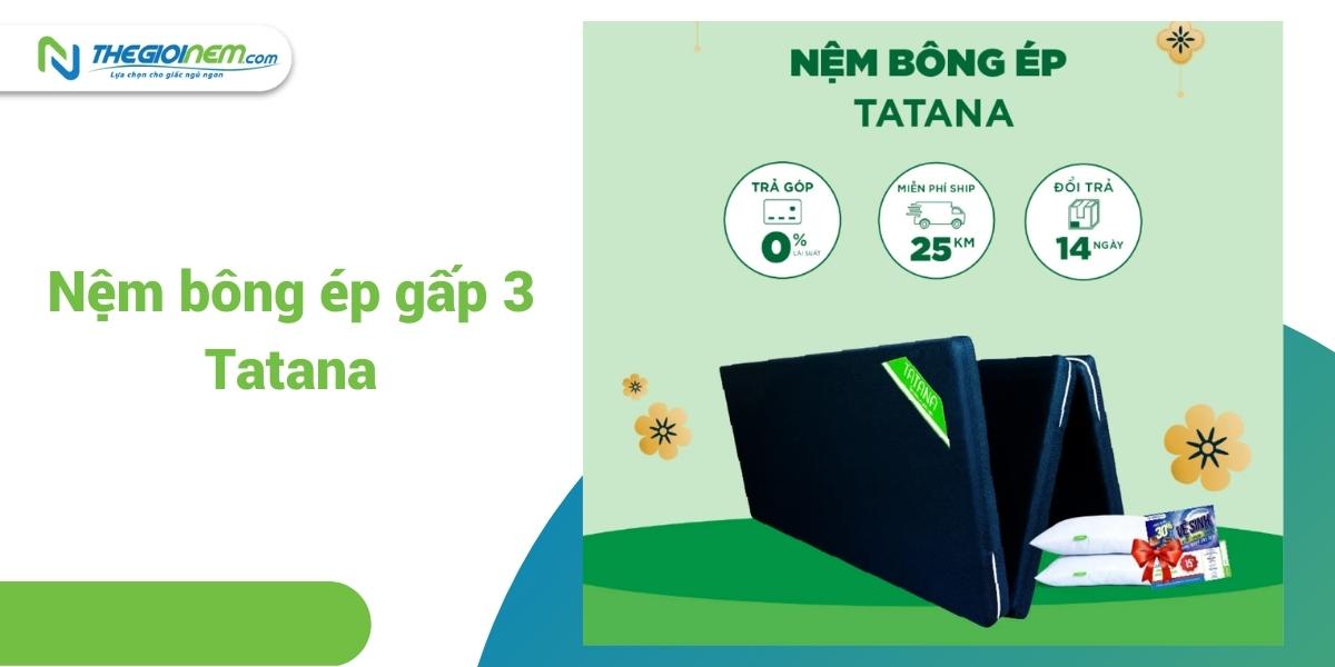 Đại lý nệm TATANA giá rẻ tại Đức Hòa - Long An