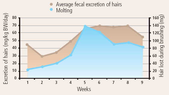 Correlation between molting and fecal excretion of hairs