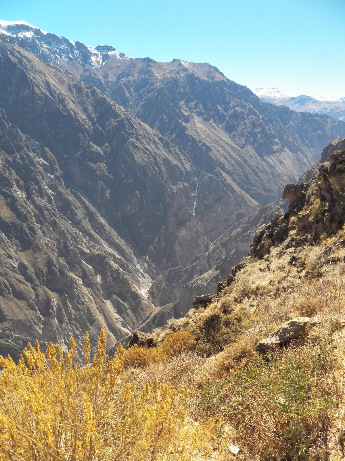 Colca Canyon, Peru