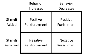Use Reinforcement Instead of Punishment - Accessible ABA, Inc.