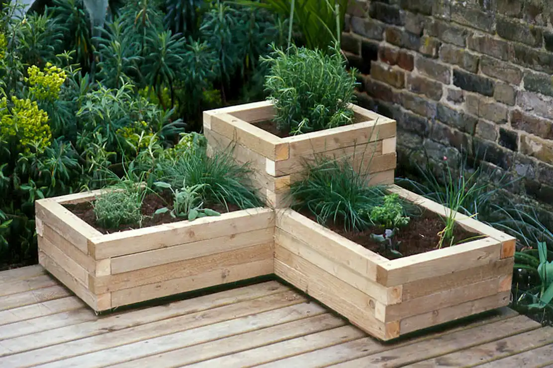 Use well-draining containers.