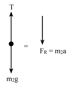 Dynamics | Laws Of Motion Class 11 | Physics | Notes