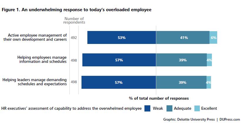 HR Executives Assessment