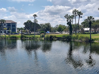  New Port Richey