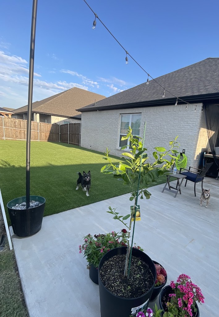 TX Artificial Turf & Design