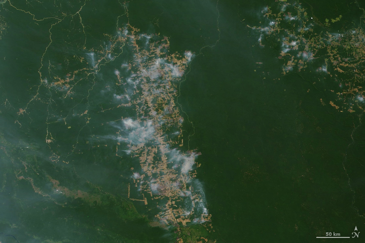 Incendios en el Amazonas