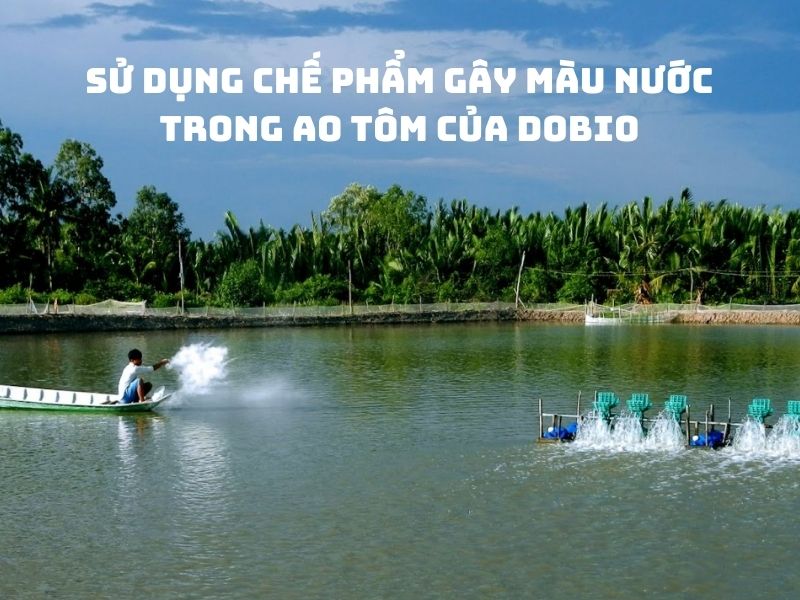 Làm sạch nước bằng chế phẩm gây màu