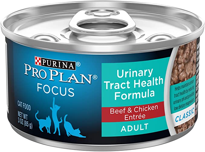 6 Best Dry Cat Food For Urinary Health Buyer’s Guide & Review! I