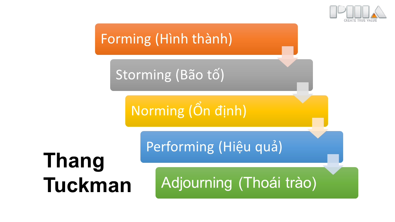 5 giai đoạn phát triển đội nhóm của mô hình Tuckman Ladder