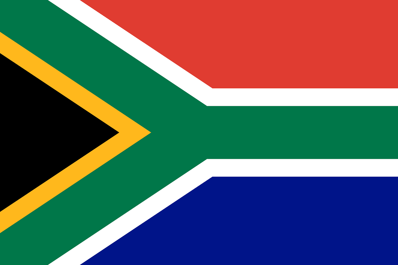 Image result for south african flag