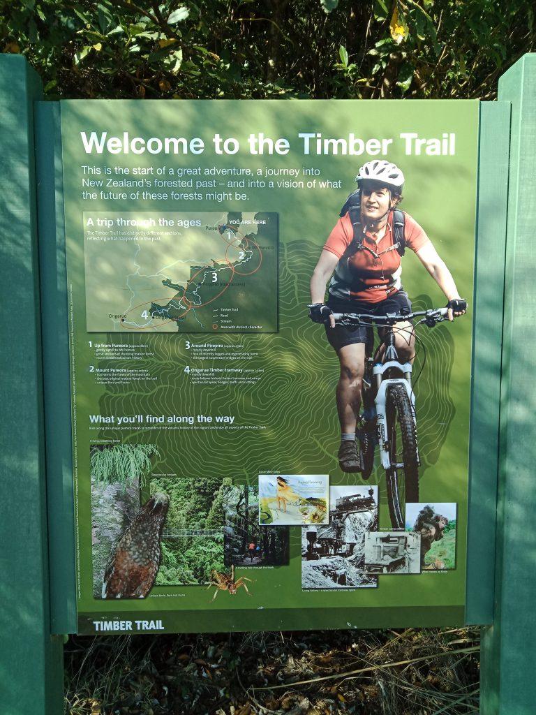 This image has an empty alt attribute; its file name is Timber-Trail-Start-of-Track-768x1024.jpg