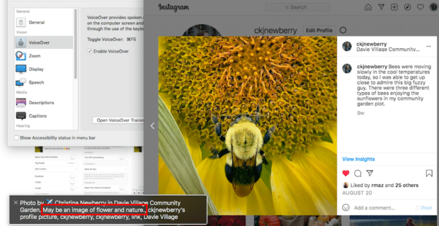 automatically generated alt text for photo of a bee and flower