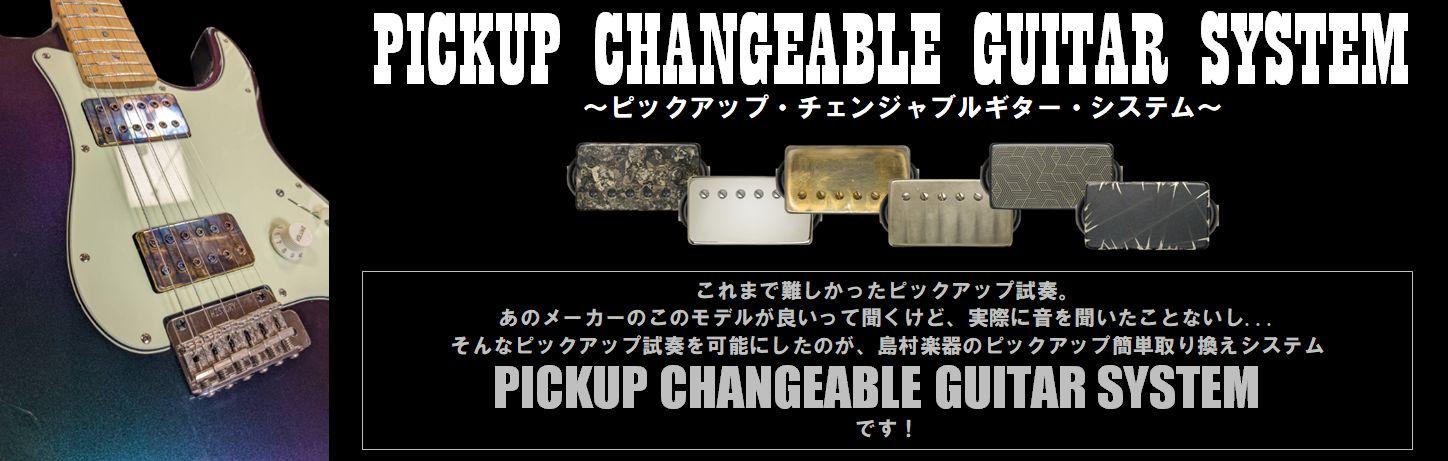 11/26~12/12 Pickup Changeable Guitar System PUCG トライアル 11/26~12/12 Pickup Changeable Guitar System PUCG トライアル