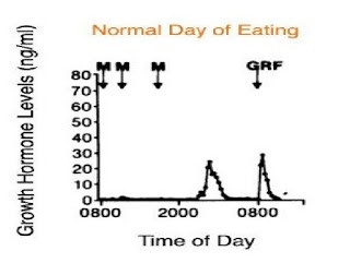 How to intermittent fast- Graphs between Human growth hormone VS Time of day in normal day eating