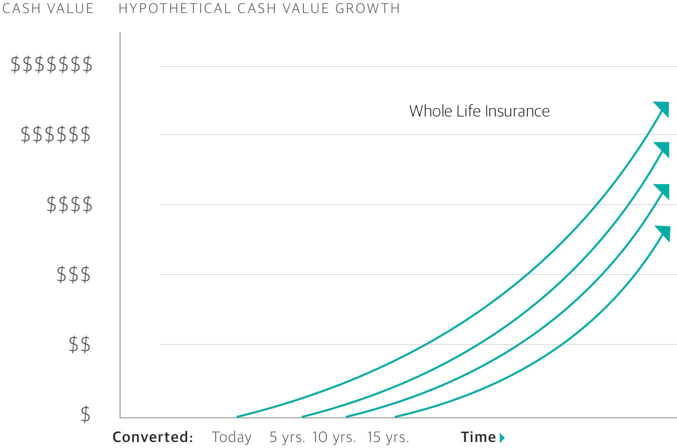 a graph of hypothetical cash value growth on whole life insurance