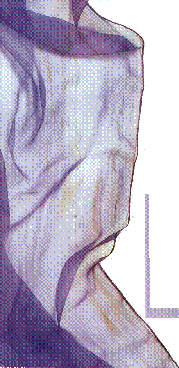 D:\0 wd yedek\acr yedek\1 film indirme\rospis_po_shelku_dosyalar\image010.gif