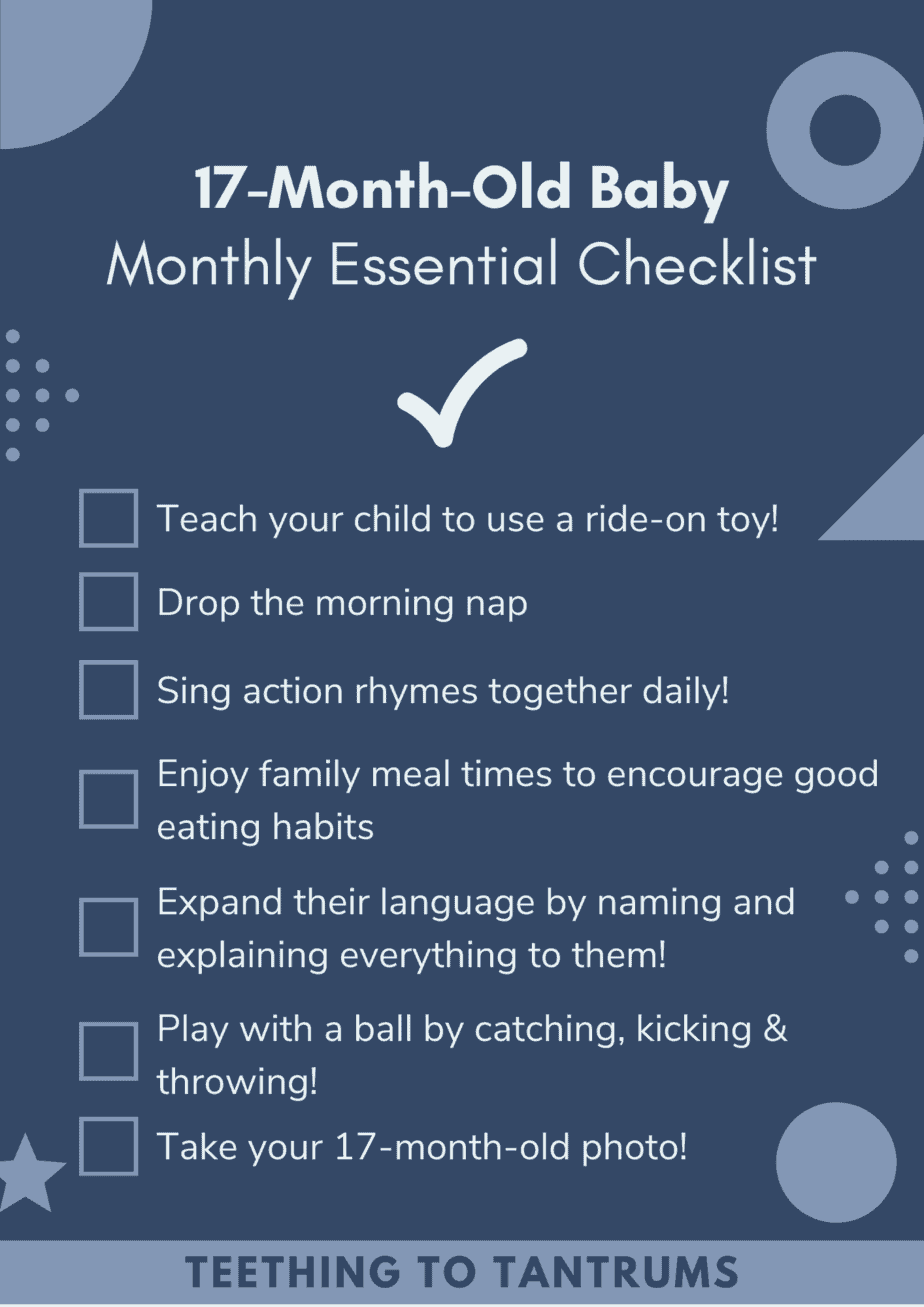 17 Month Old Checklist
