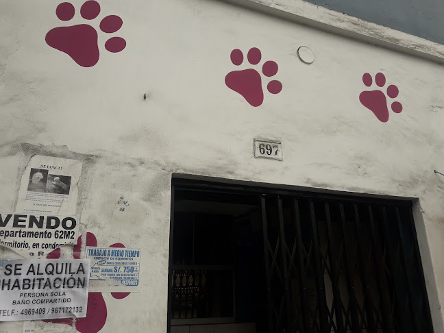 Veterinaria "Brigido" - Veterinario